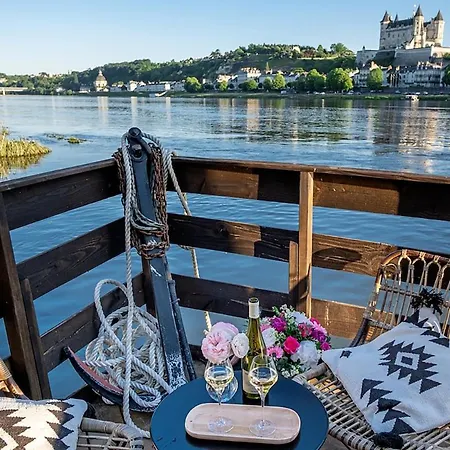 Le Martin Pecheur Luxurious Boat Botel Saumur